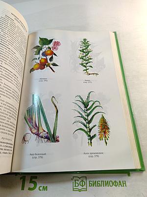 Золотая энциклопедия народной медицины