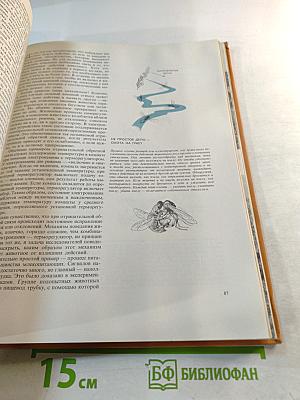 Поведение животных