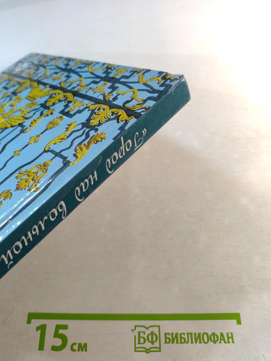 Город над вольной Невой