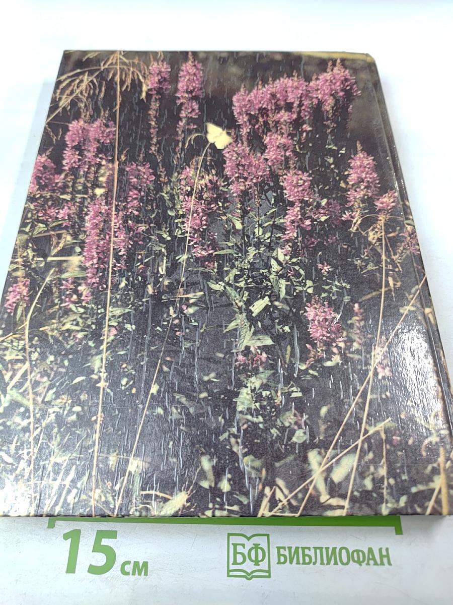 Здоровье без лекарств