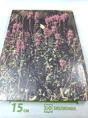 Здоровье без лекарств