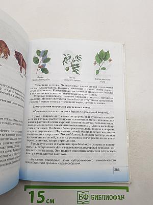 ГЕОГРАФИЯ. География материков и океанов