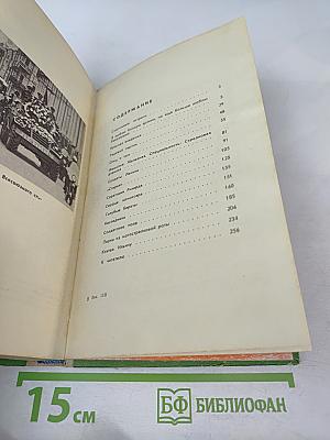 Солдатское поле