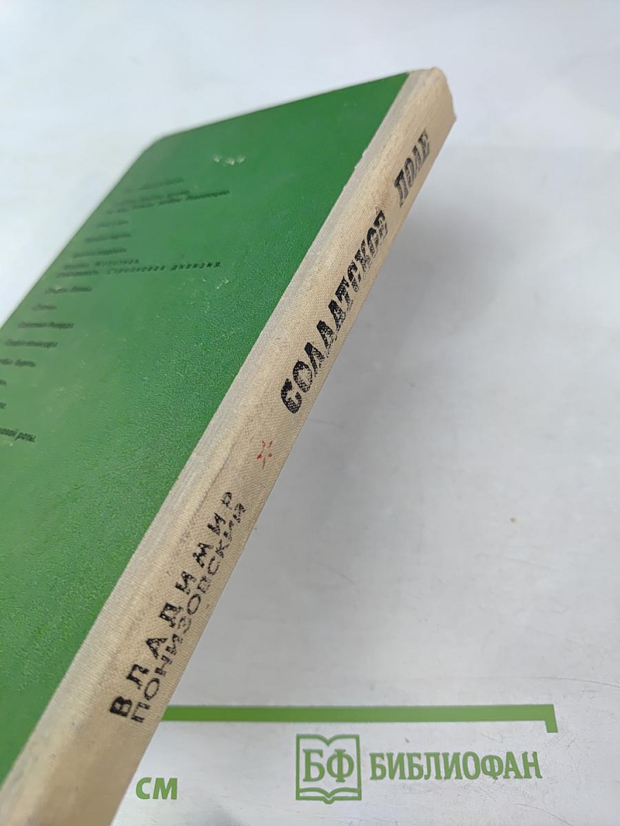 Солдатское поле