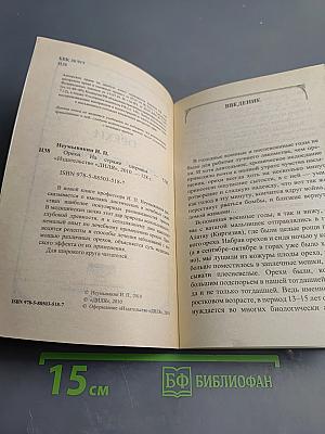 Орехи на страже здоровья