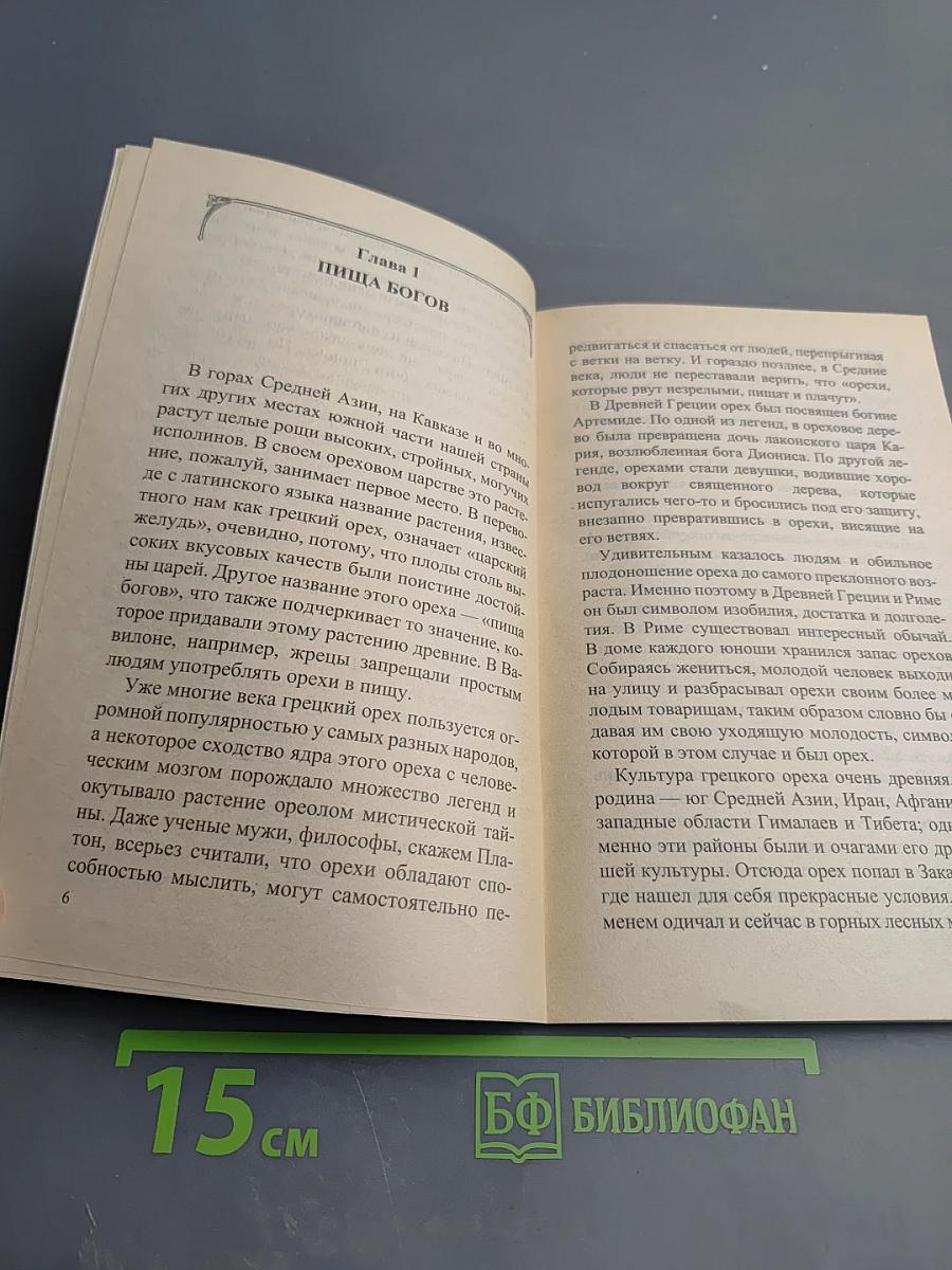 Орехи на страже здоровья