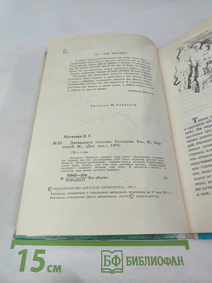 Двенадцать палочек. Рассказы