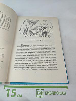 Двенадцать палочек. Рассказы