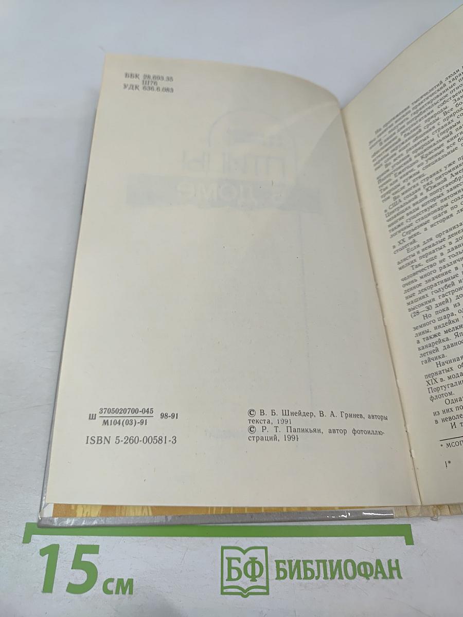 Птицы в доме