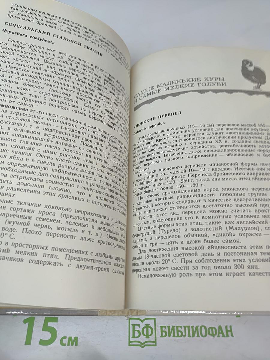 Птицы в доме