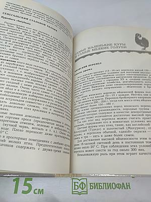 Птицы в доме