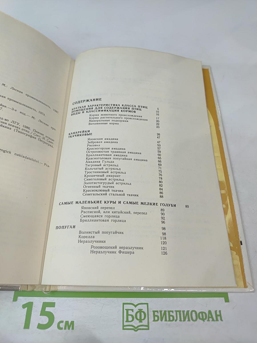 Птицы в доме