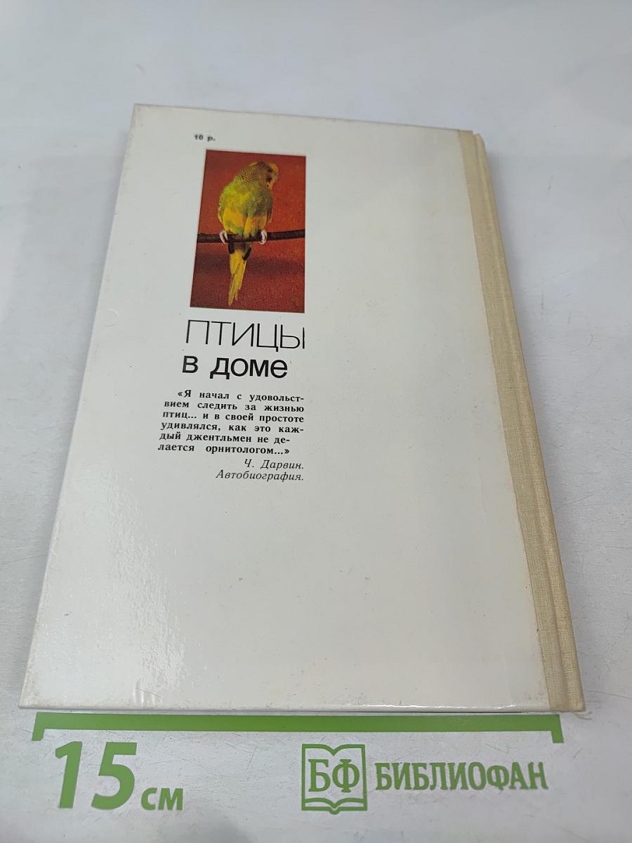 Птицы в доме