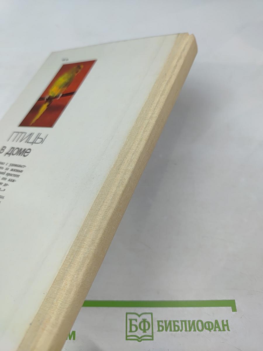 Птицы в доме