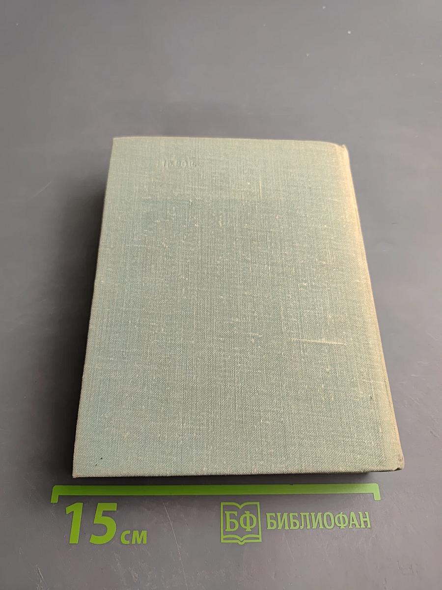 Мы еще встретимся. Небо за стеклами. Странные взрослые