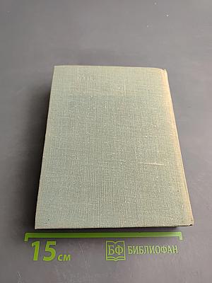 Мы еще встретимся. Небо за стеклами. Странные взрослые