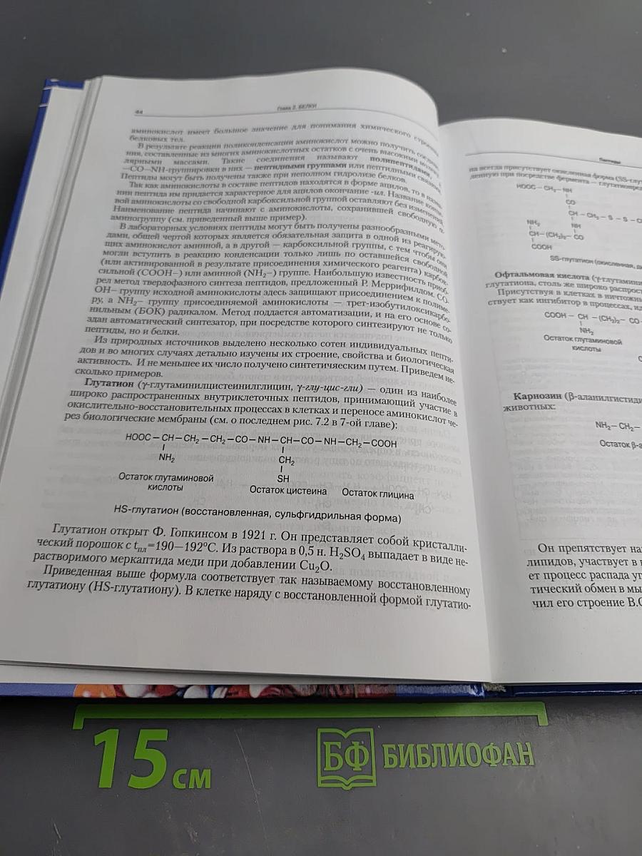 Биохимические основы жизнедеятельности человека. Учебное пособие для ВУЗов