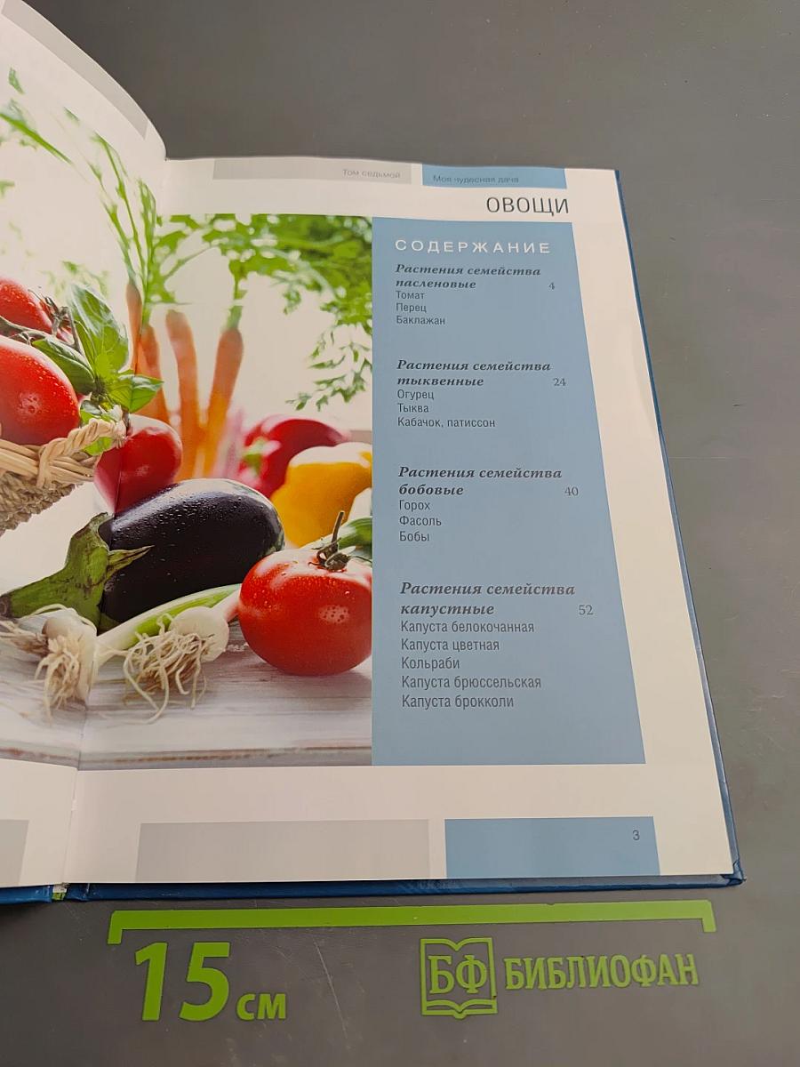 Овощи. Часть 1