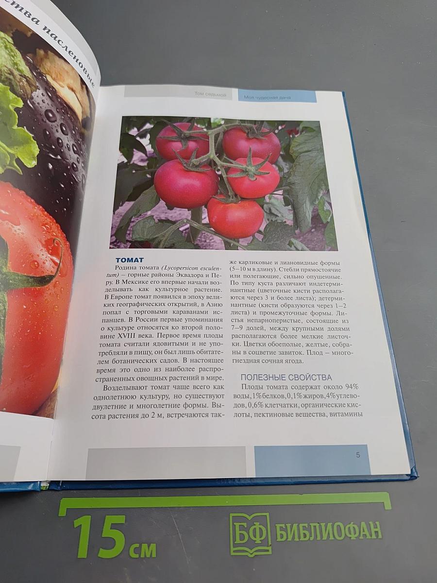 Овощи. Часть 1