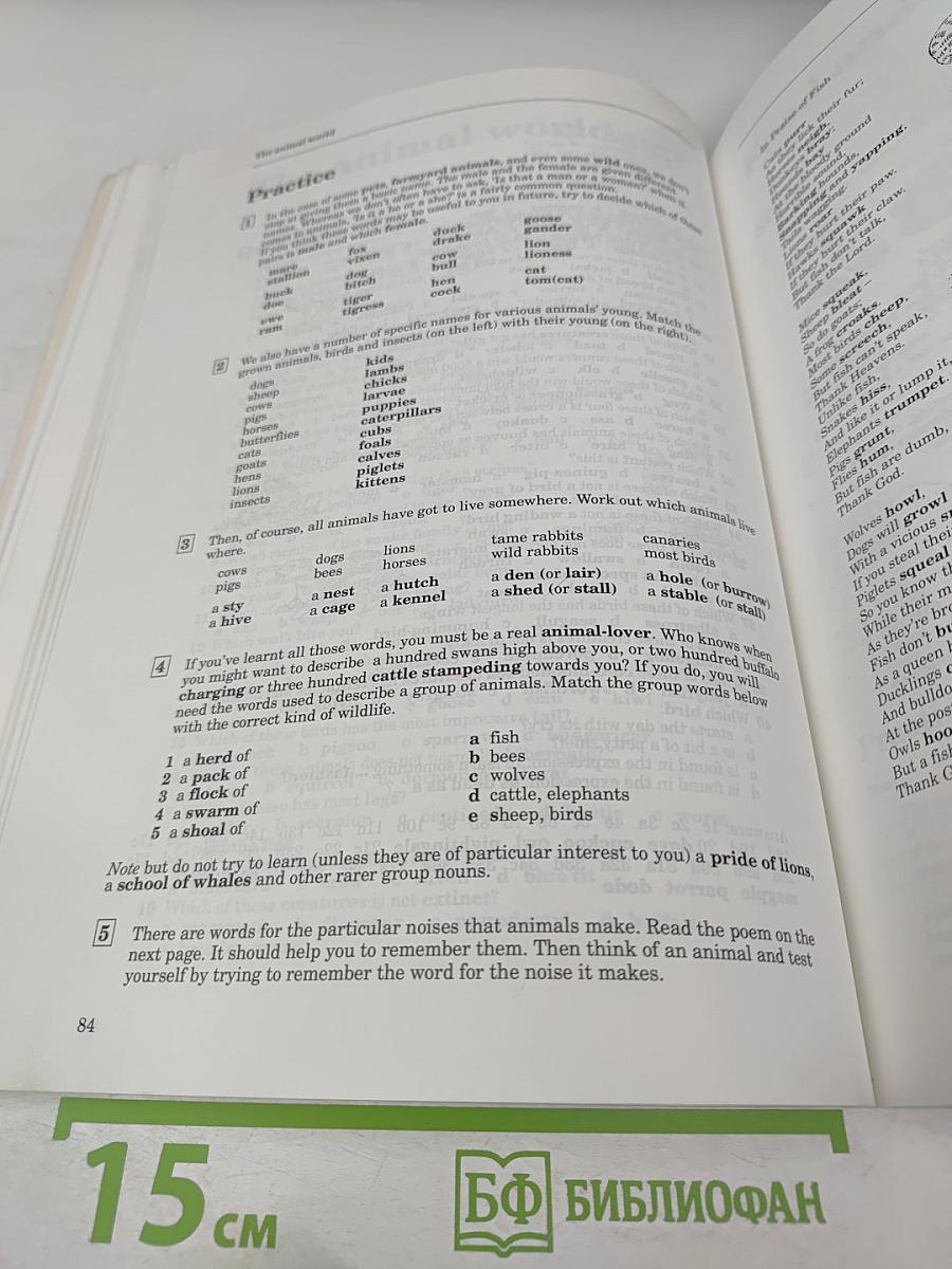 The Heinemann English Wordbuilder