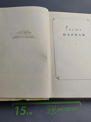 К Новому Берегу