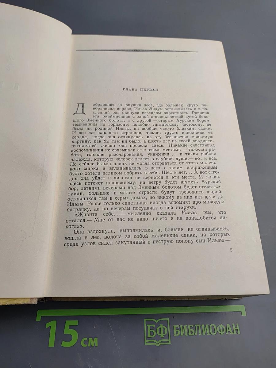 К Новому Берегу