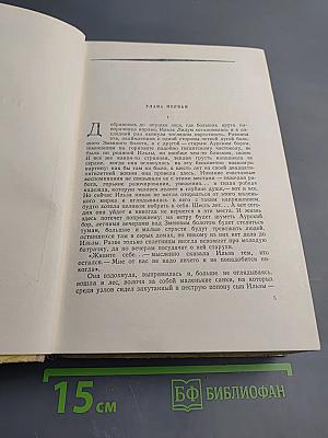 К Новому Берегу