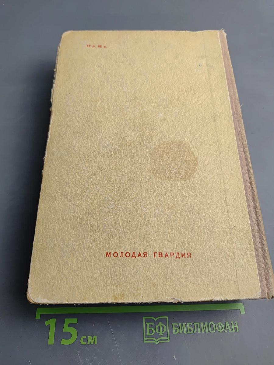 К Новому Берегу