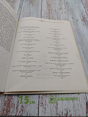 Зодчество 3