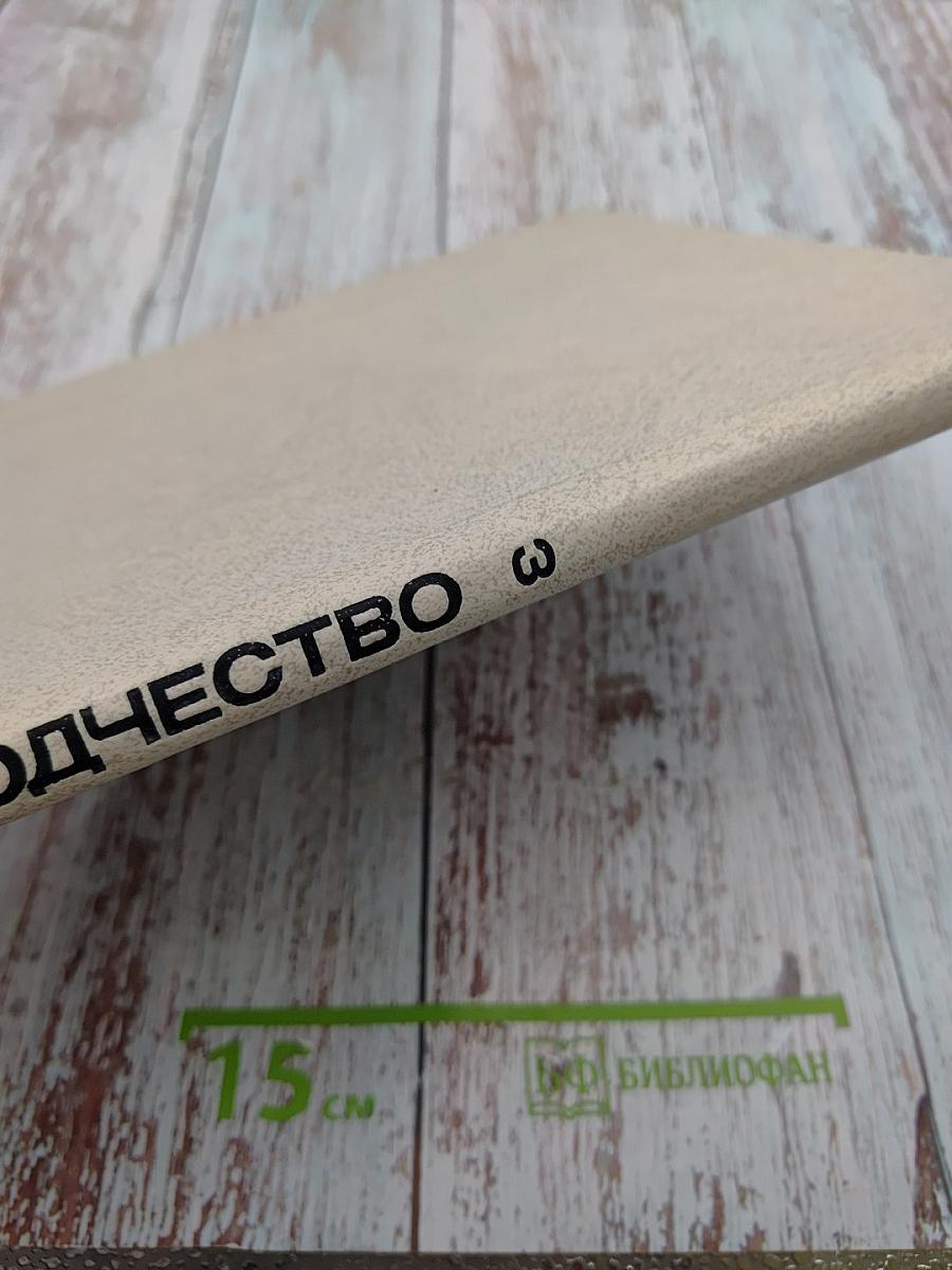 Зодчество 3