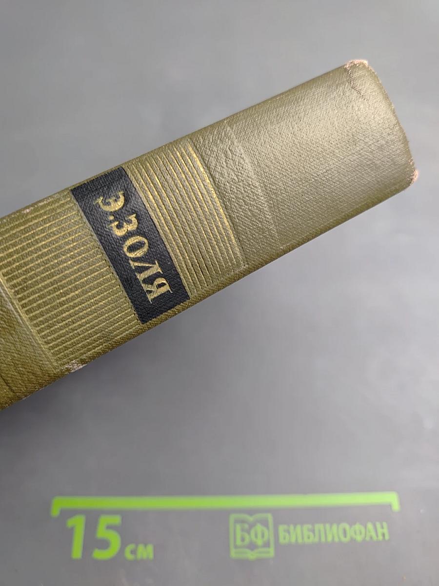 Собрание сочинений. Том Тринадцатый. Ругон-Маккары: Мечта, Человек-зверь