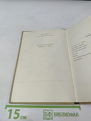 The Bewitched Tailor