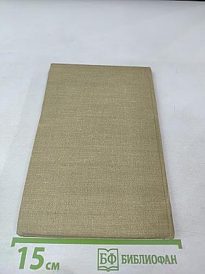 The Bewitched Tailor