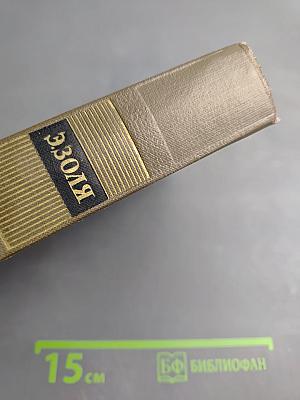 Собрание сочинений. Том 19. Три города: Париж