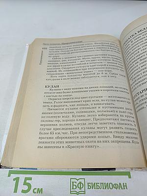 Справочник школьника для начальных классов