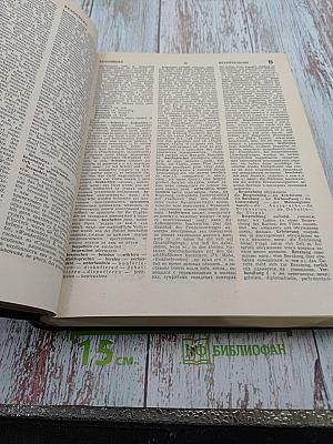 Немецко-русский синонимический словарь