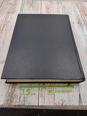 Немецко-русский синонимический словарь