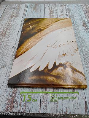 Звёздные обуви Небесницы