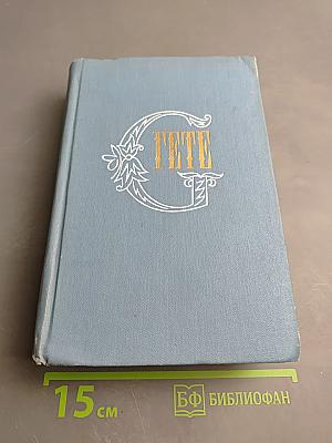 Собрание сочинений. Том третий: Из моей жизни. Поэзия и правда