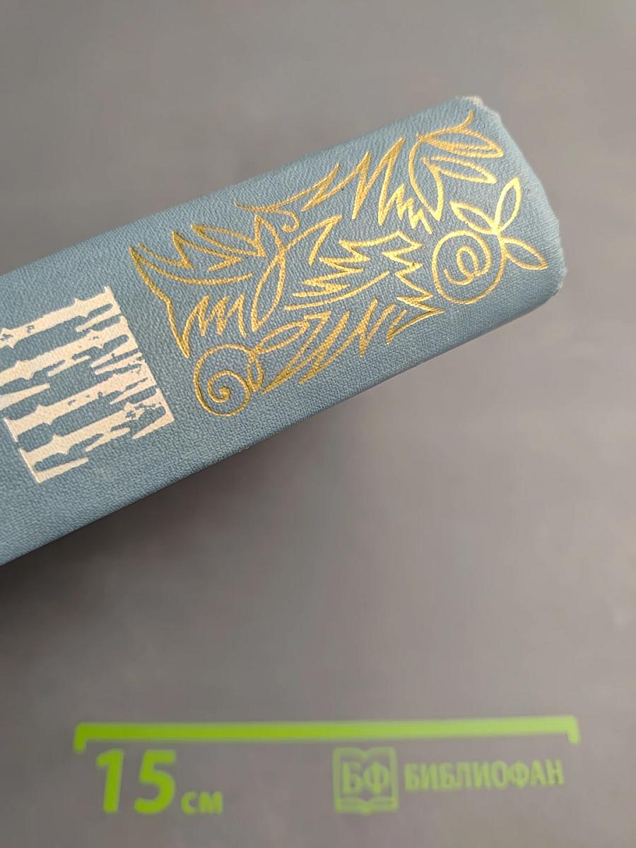 Собрание сочинений. Том третий: Из моей жизни. Поэзия и правда