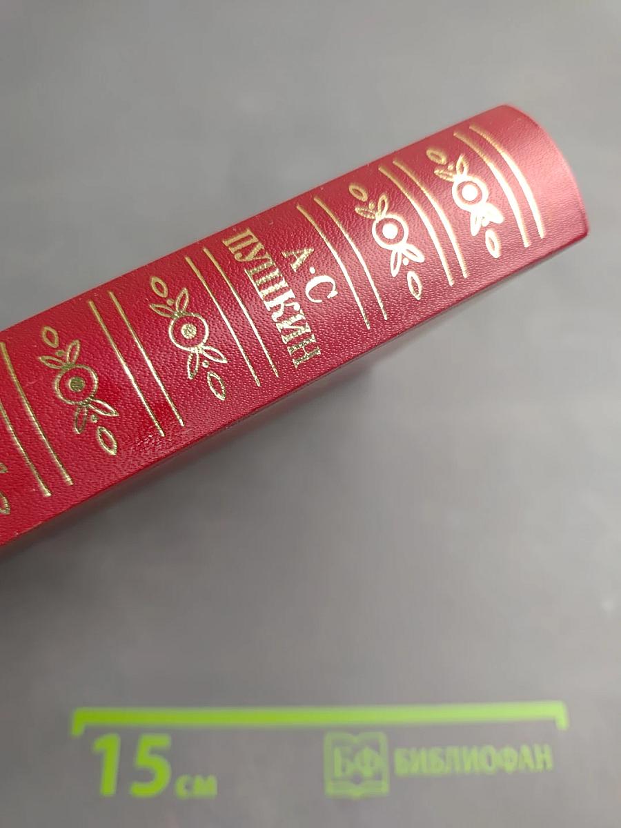 Том второй: Поэмы. Евгений Онегин. Драматические произведения