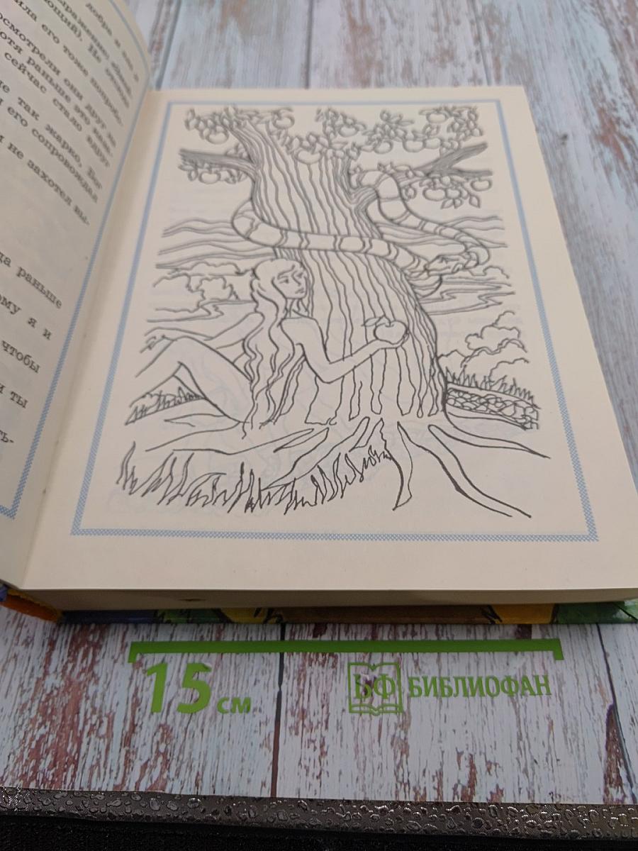 Библейские истории для чтения и раскрашивания. Ветхий Завет