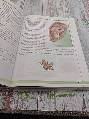 Беременность. Роды. Первый год жизни. Вопросы и ответы