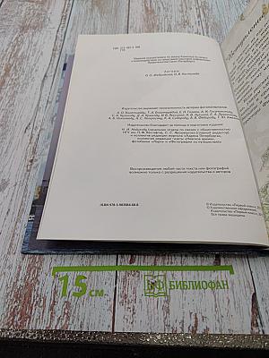 Город над вольной Невой