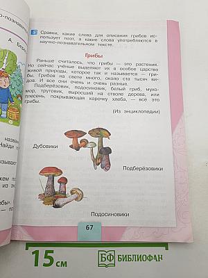 Литературное чтение, 2 класс, Часть 1