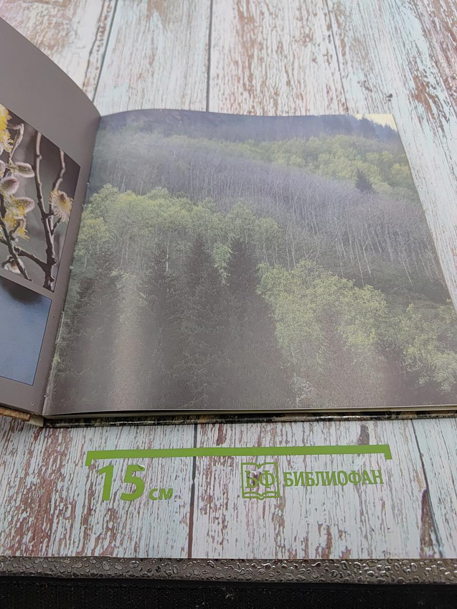 Алма-Атинский заповедник