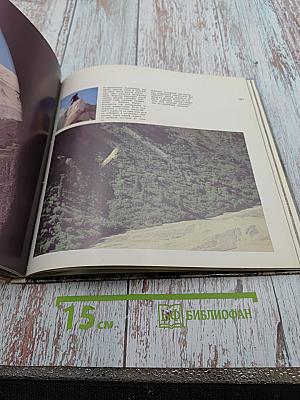 Алма-Атинский заповедник