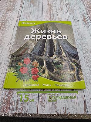 Жизнь деревьев
