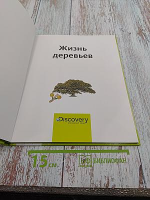 Жизнь деревьев