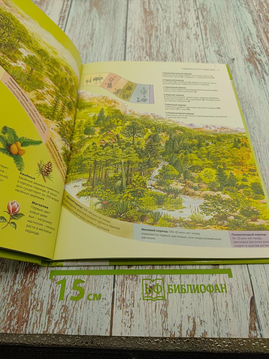 Жизнь деревьев